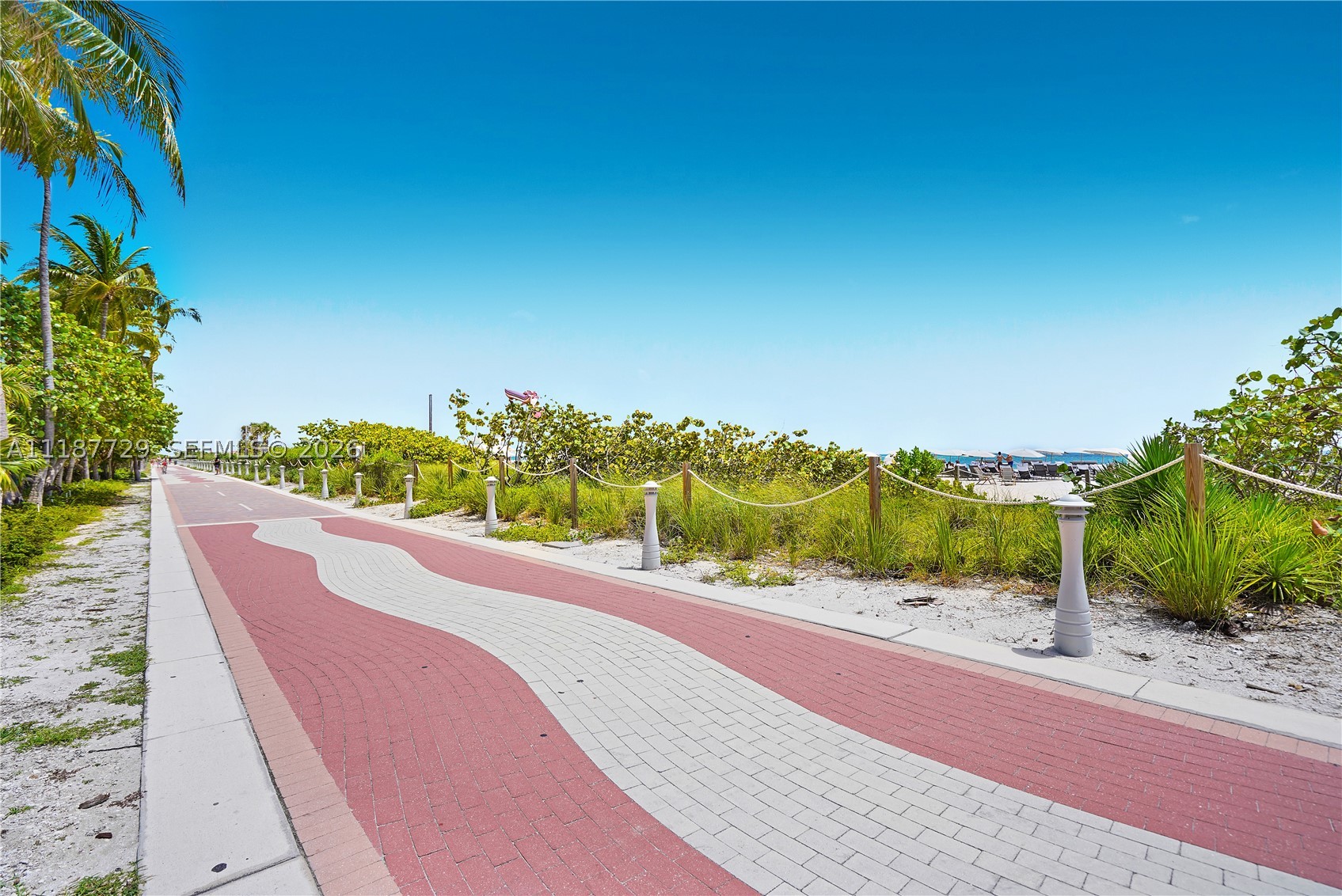 Miami Beach photo 3