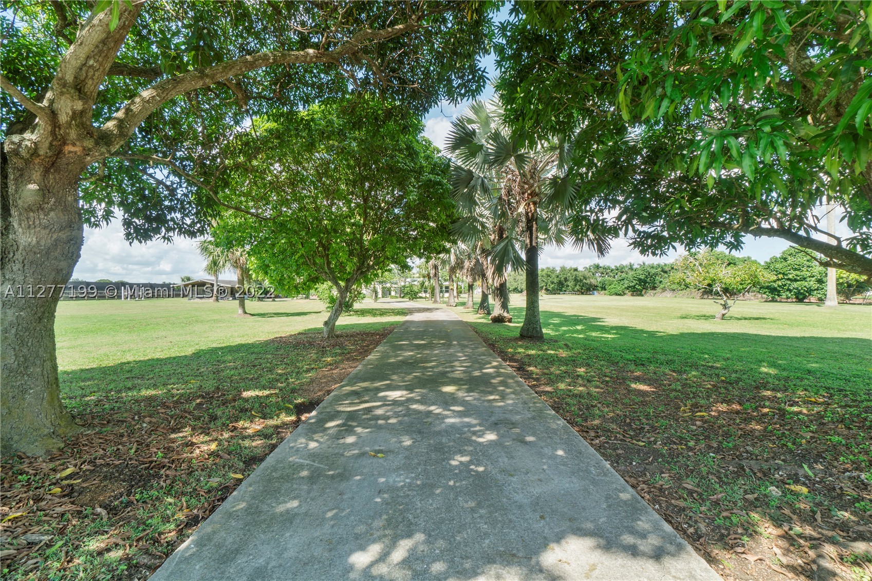 Homestead photo 2