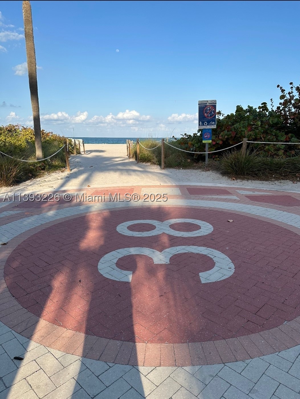 Miami Beach photo 1