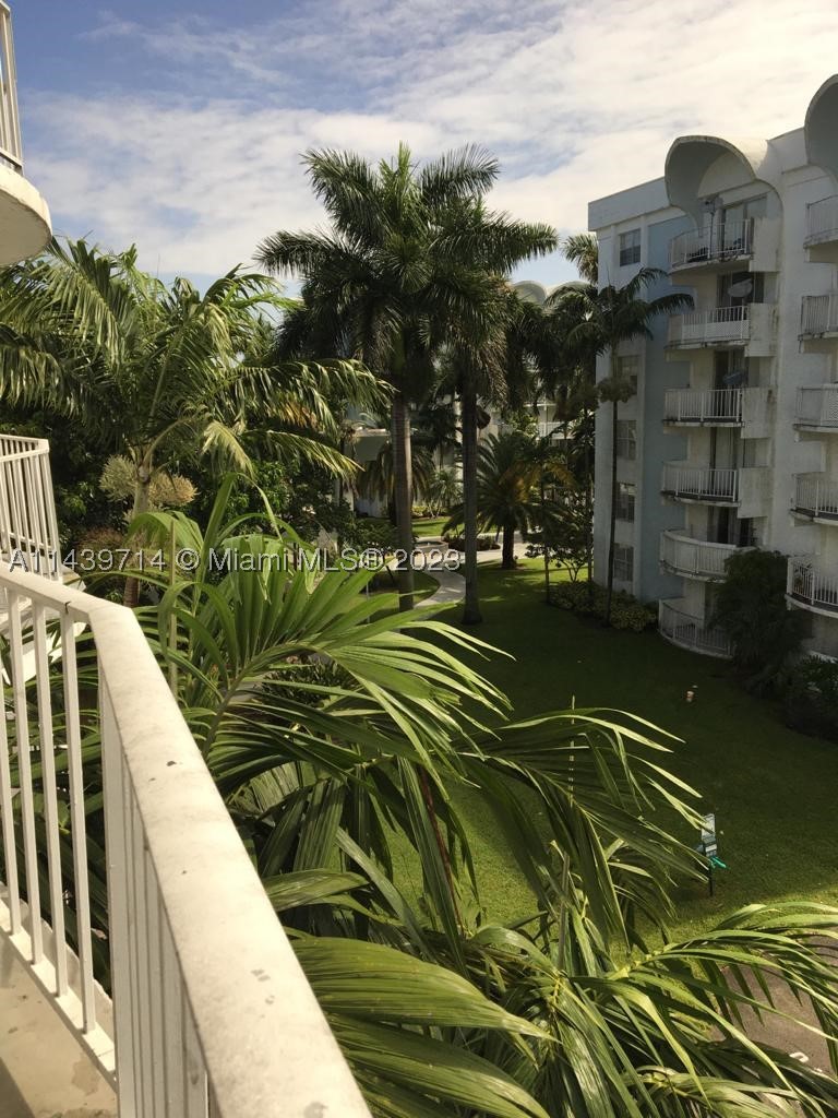Miami photo 1