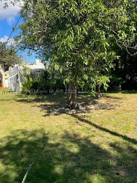 Biscayne Park photo 2
