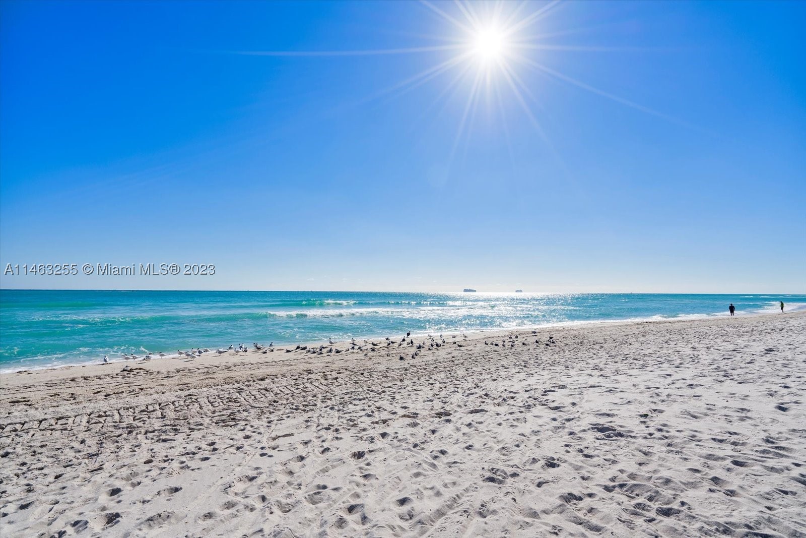 Miami Beach photo 5