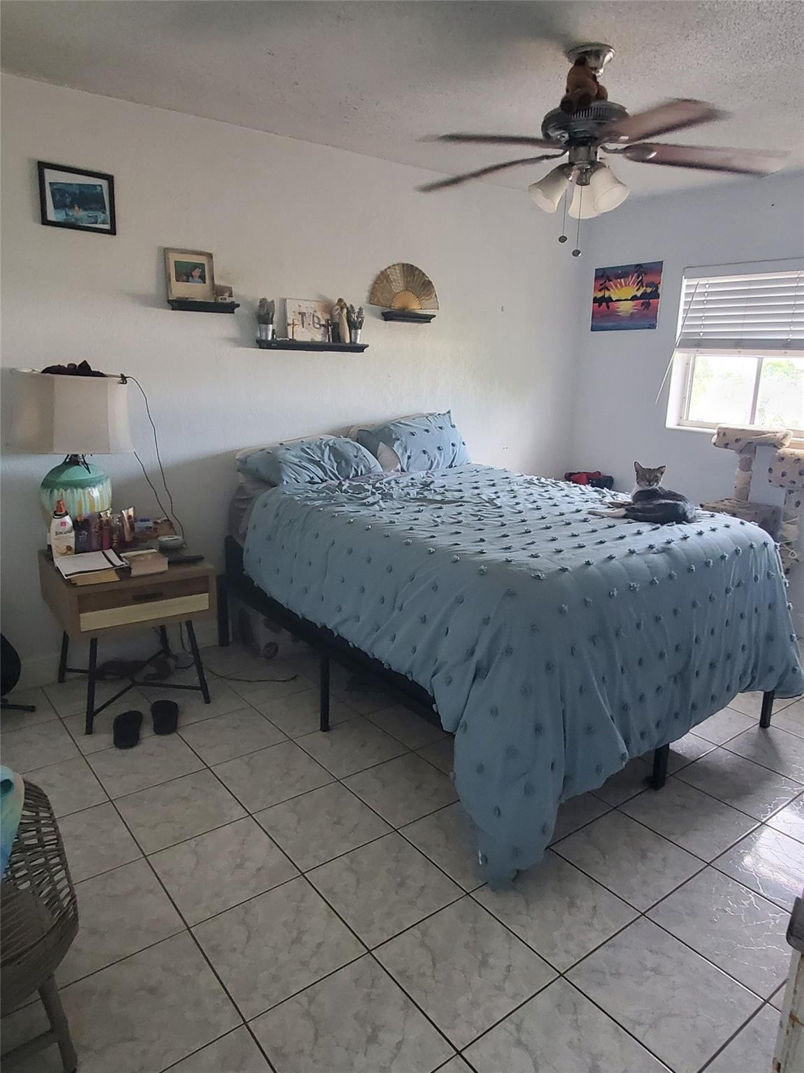 Pompano Beach photo 5