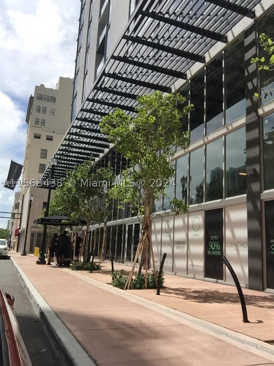 Miami photo 3