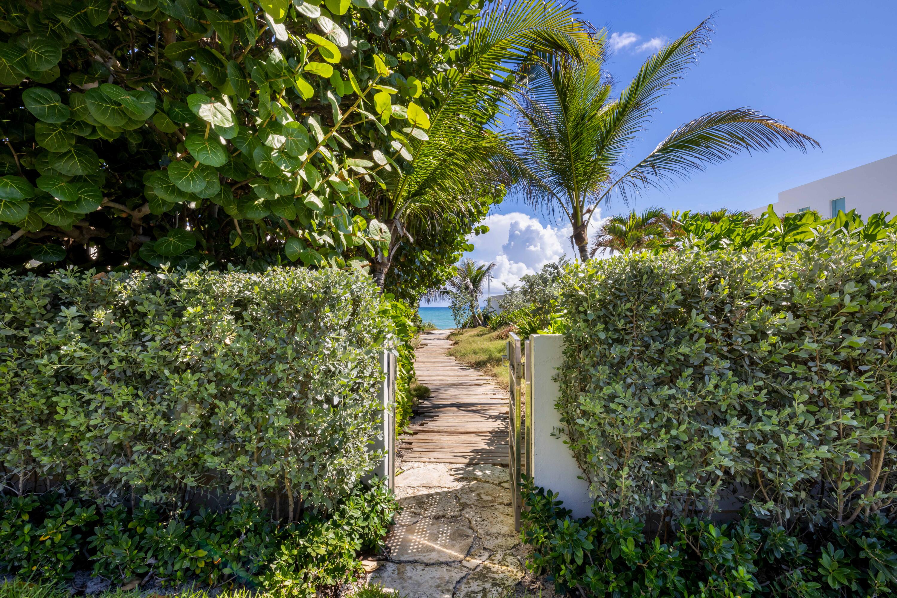 Palm Beach photo 2