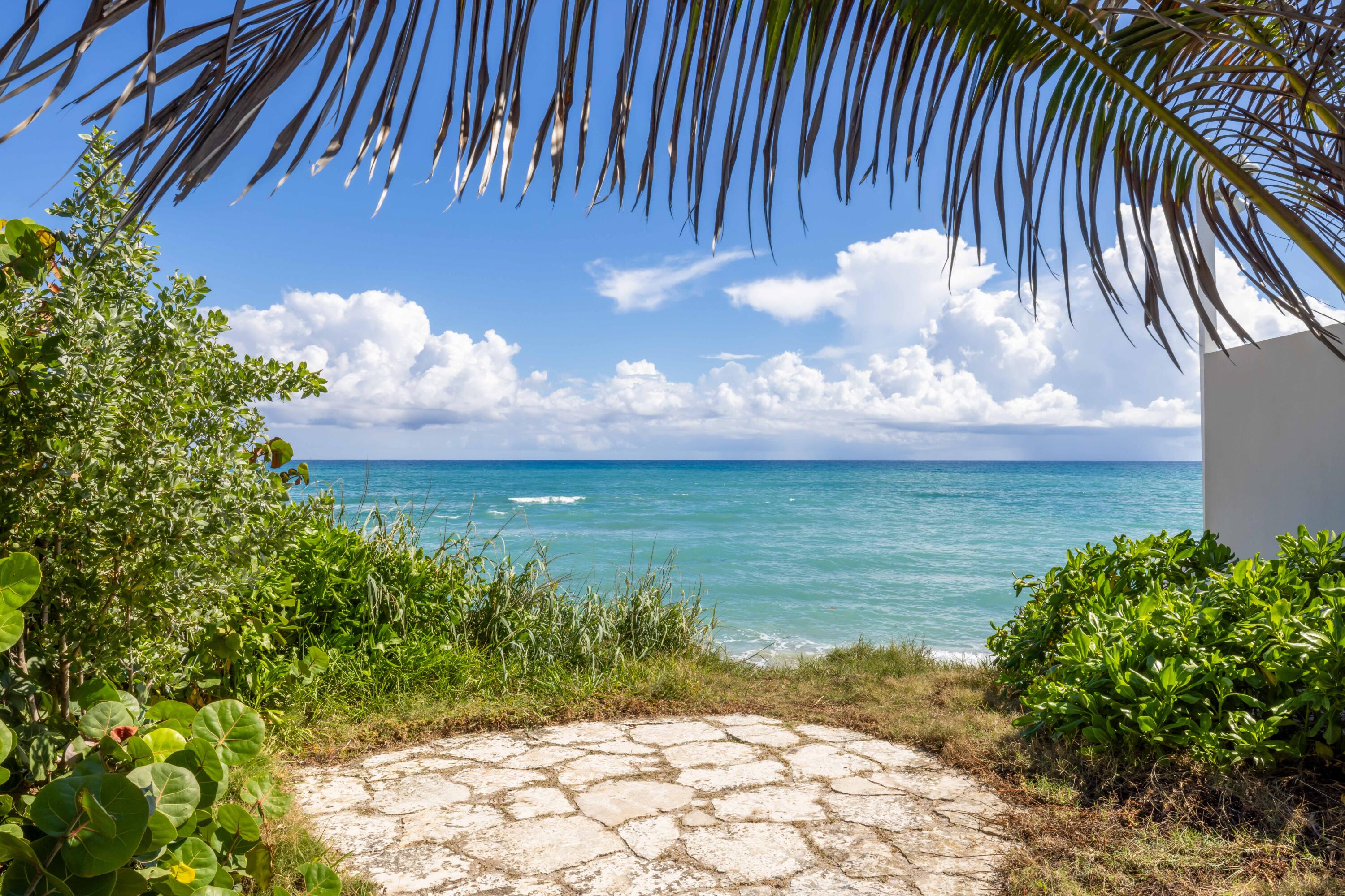 Palm Beach photo 4