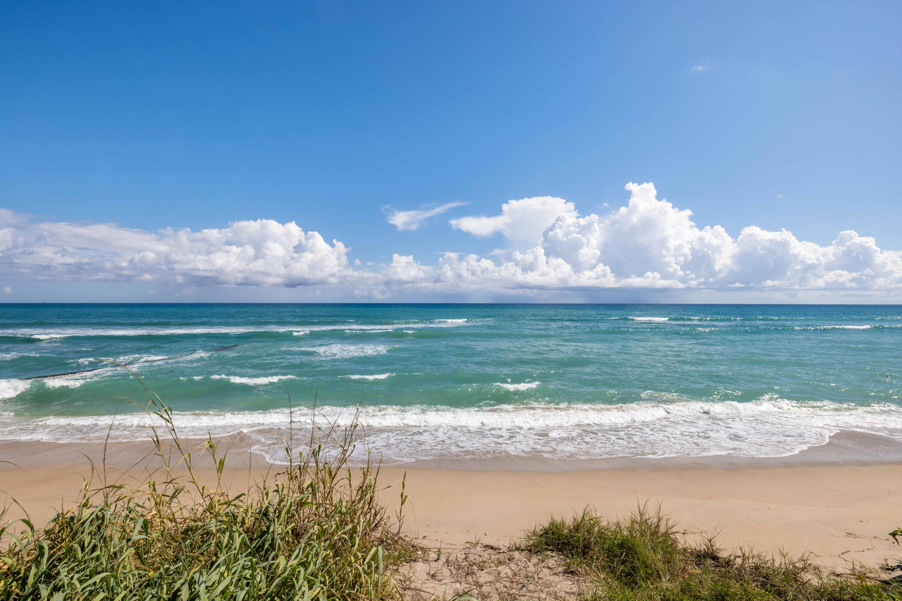 Palm Beach photo 5