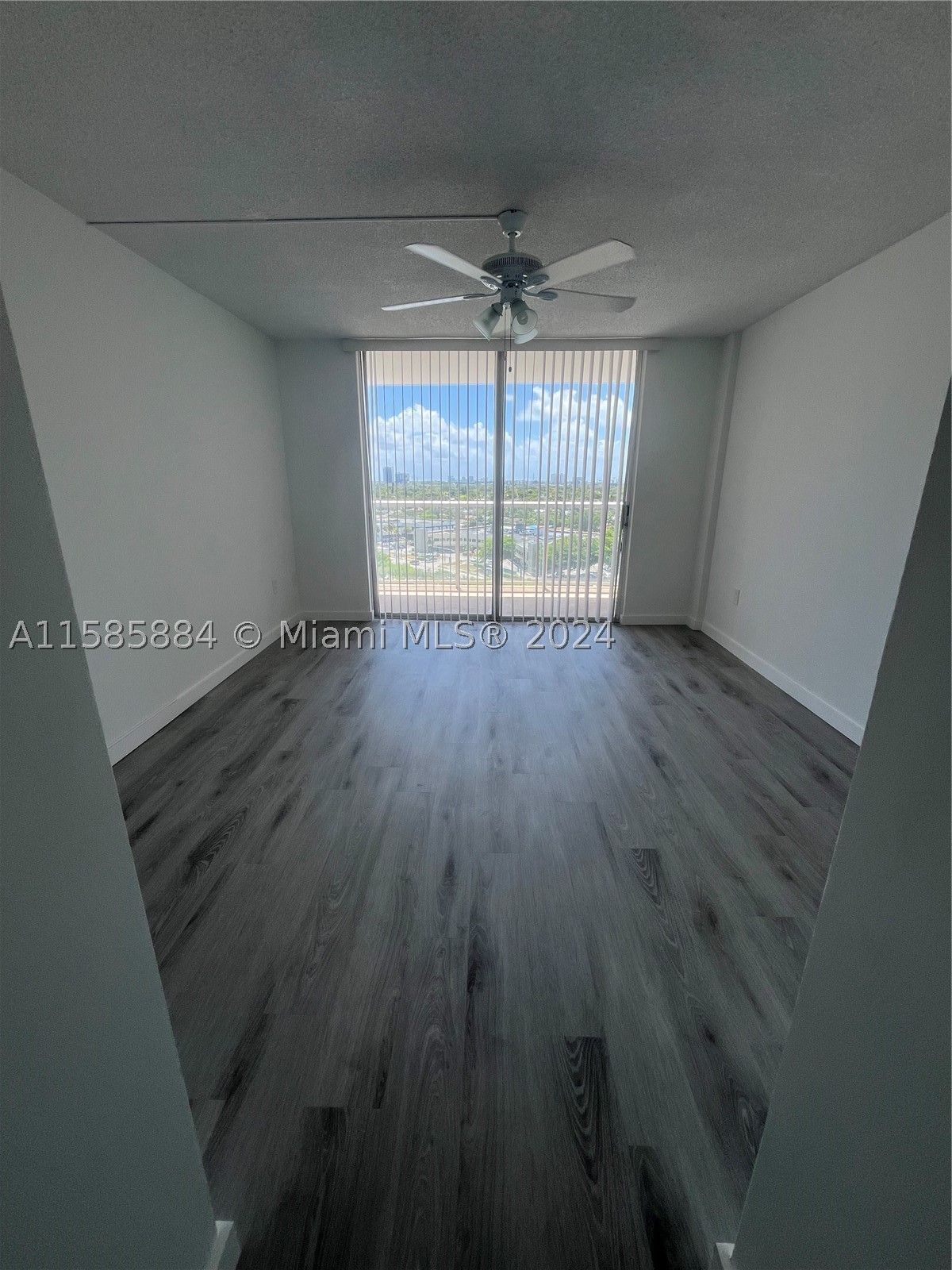 Miami photo 4