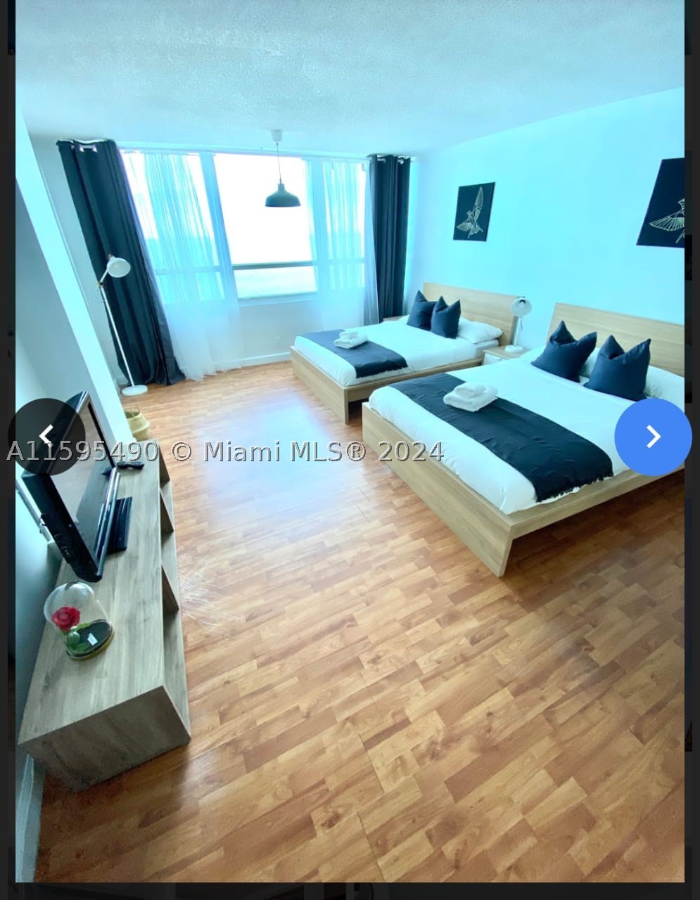 Miami Beach photo 4