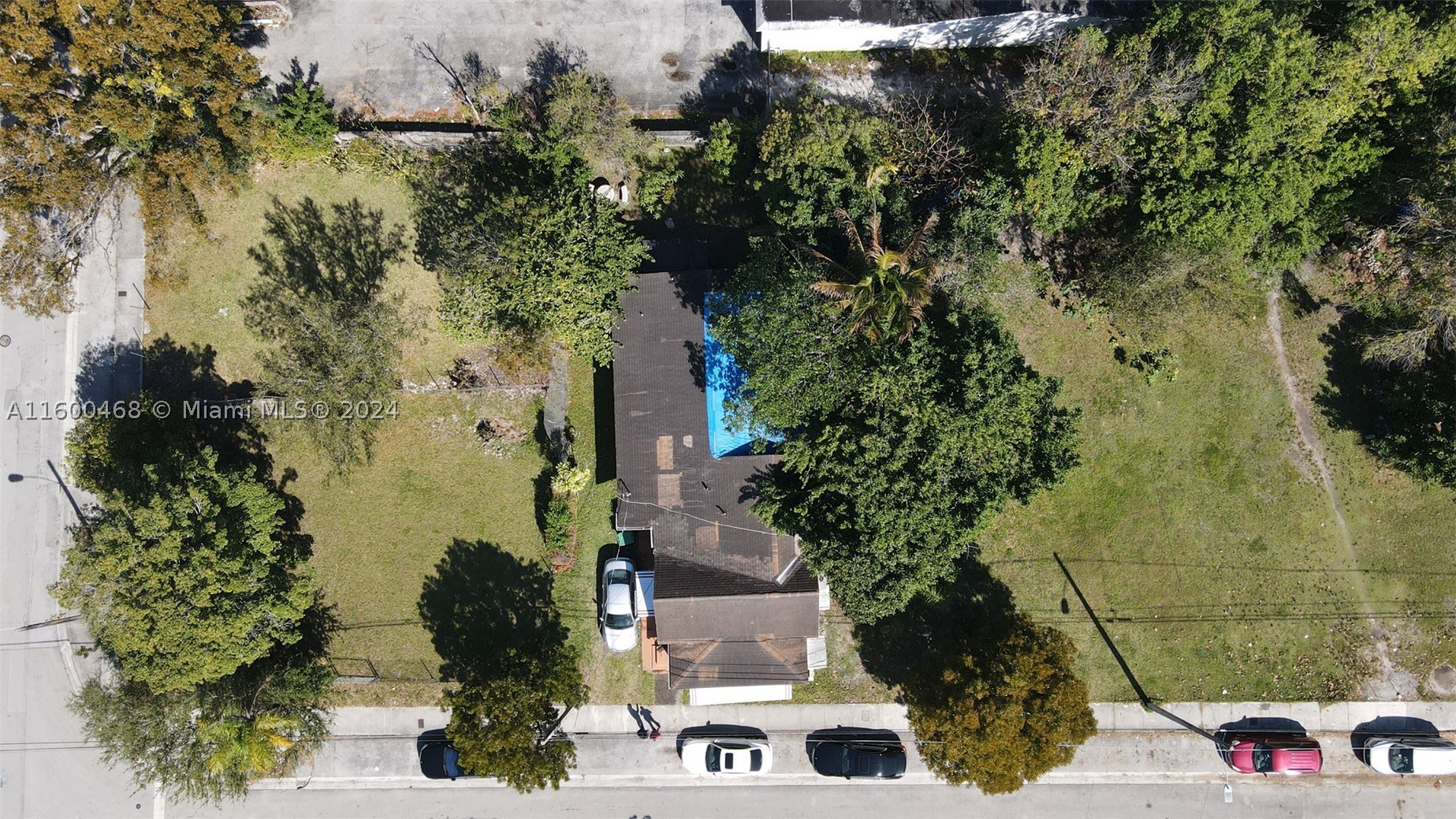 Miami photo 3