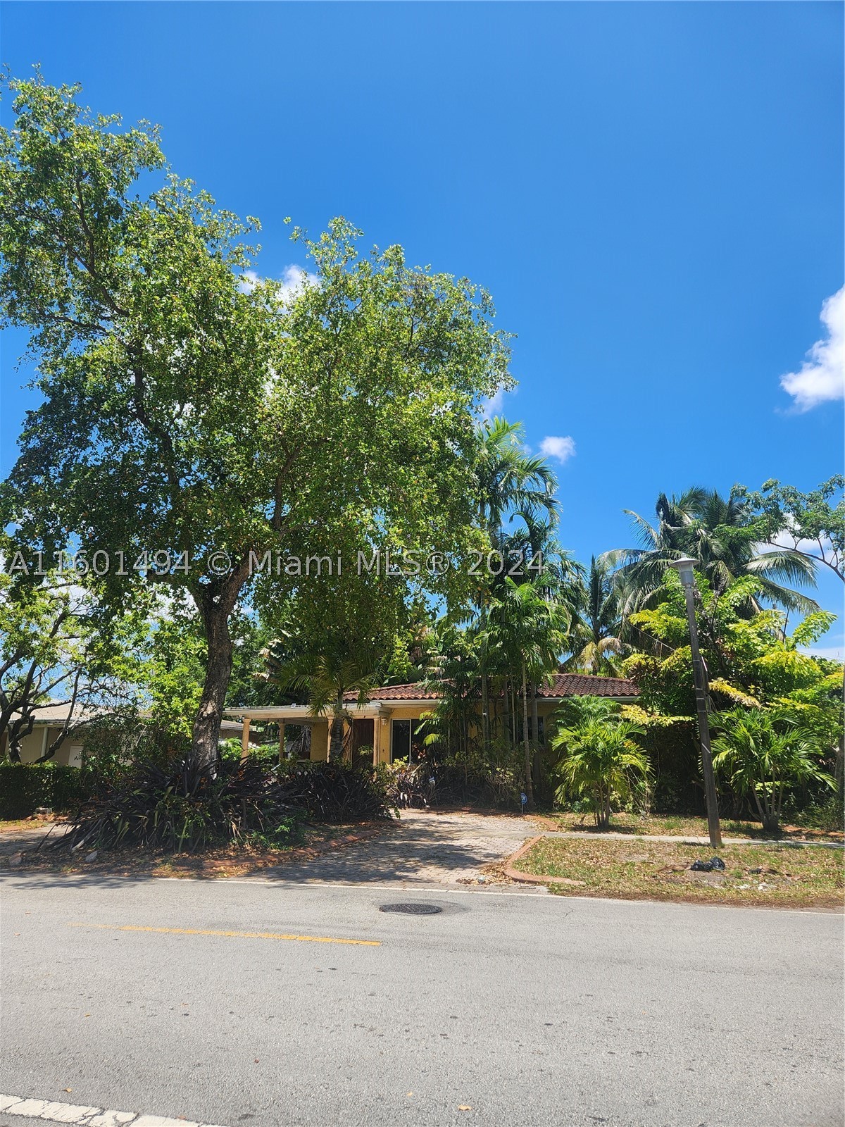 North Miami photo 3
