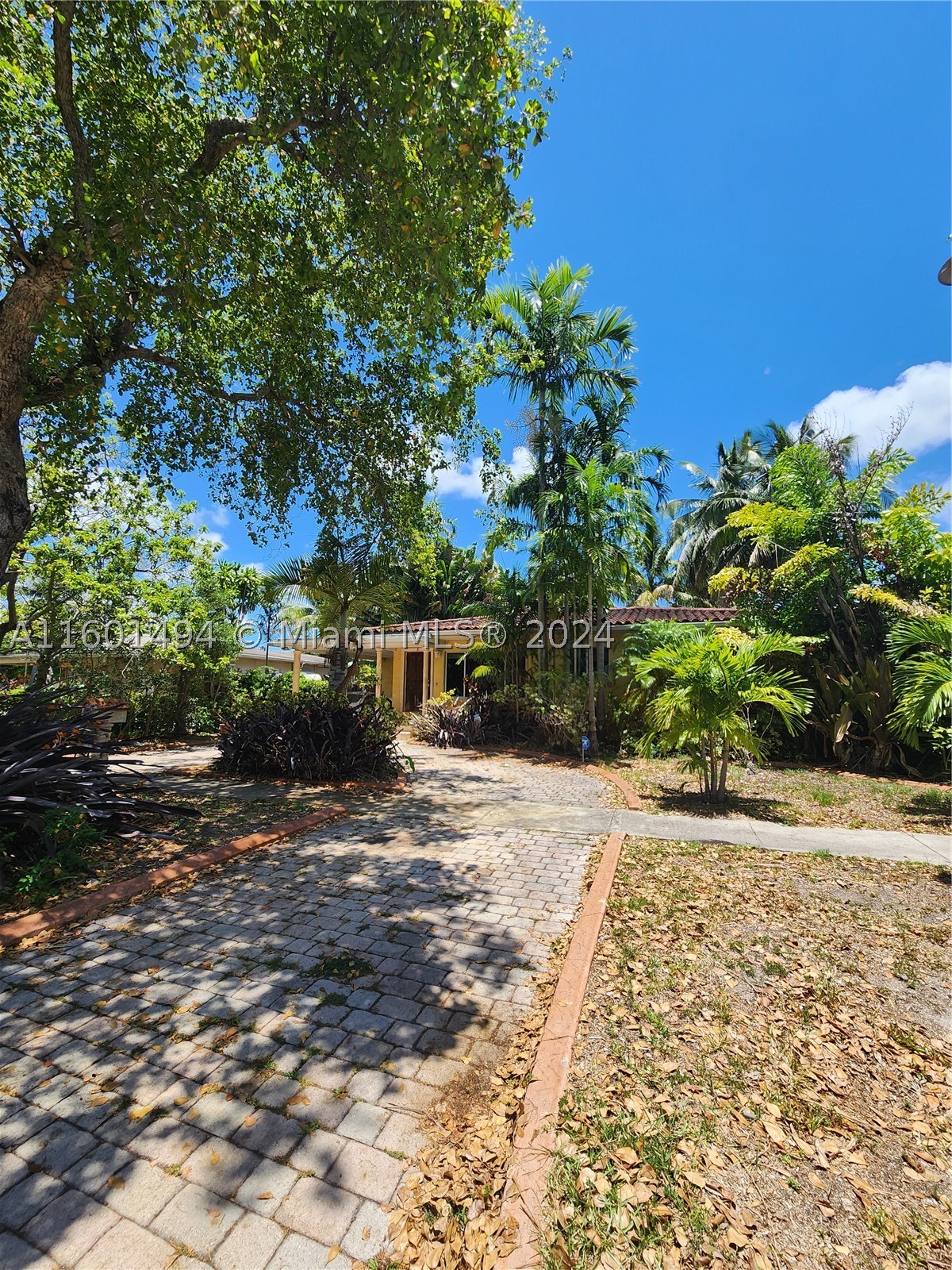 North Miami photo 4