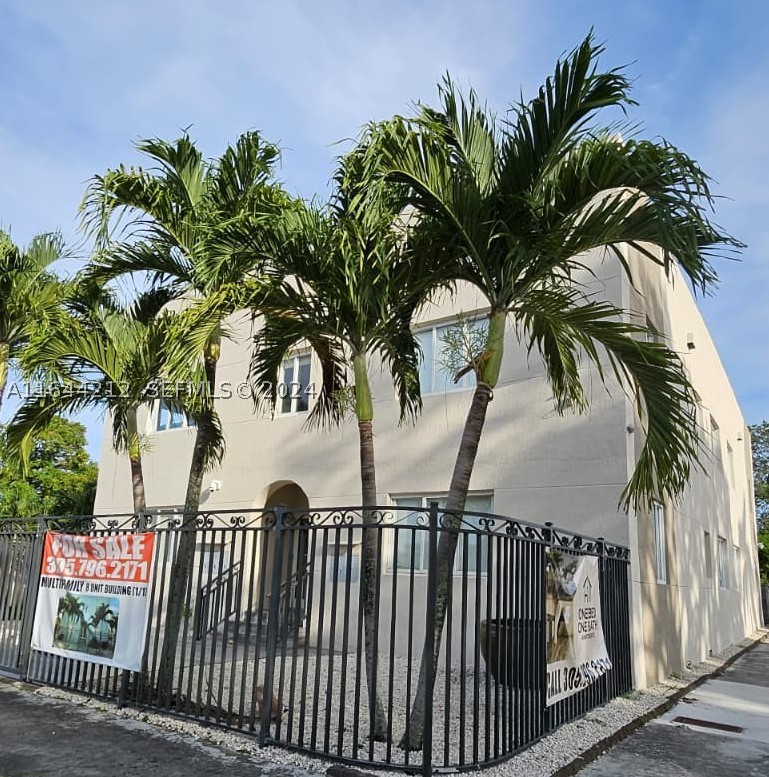 Miami photo 3