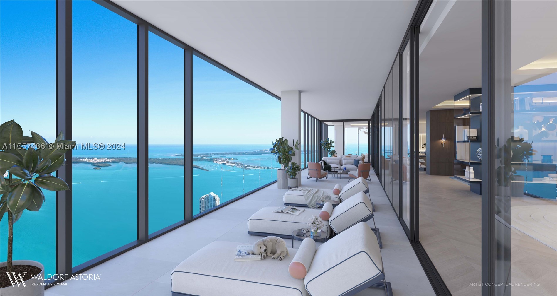 Miami photo 2