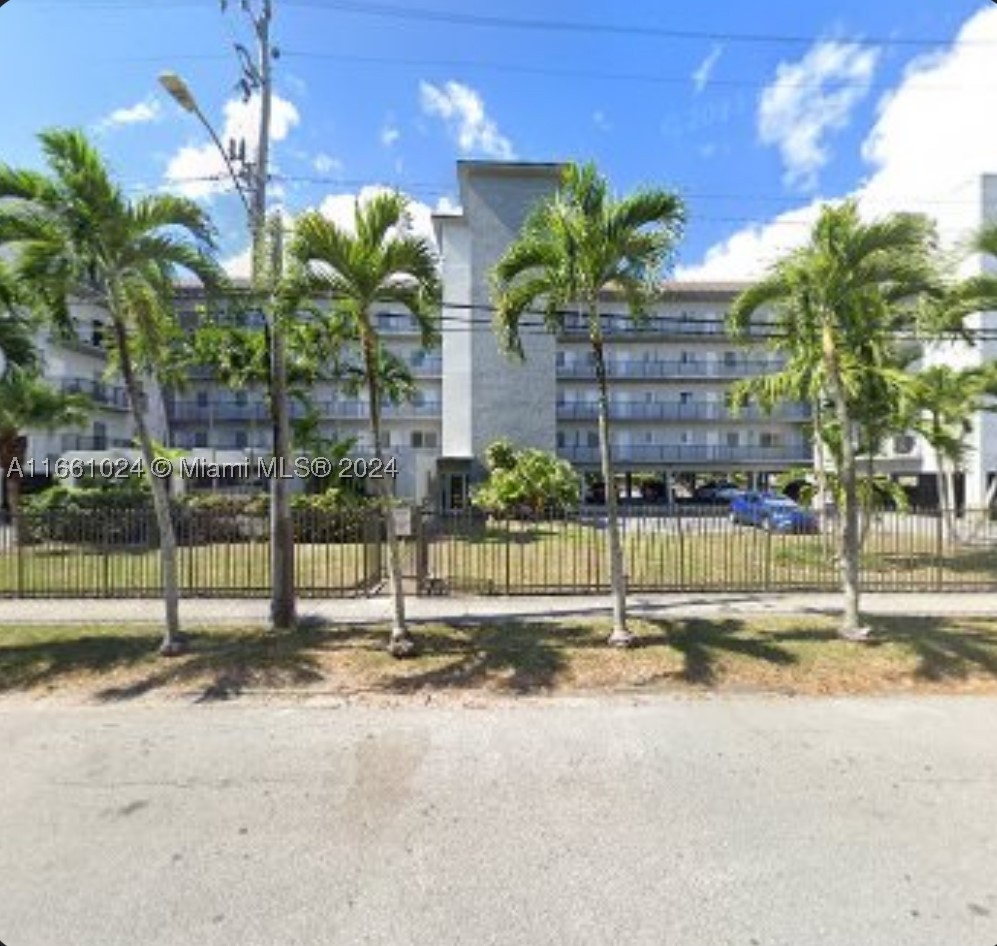 Miami photo 5