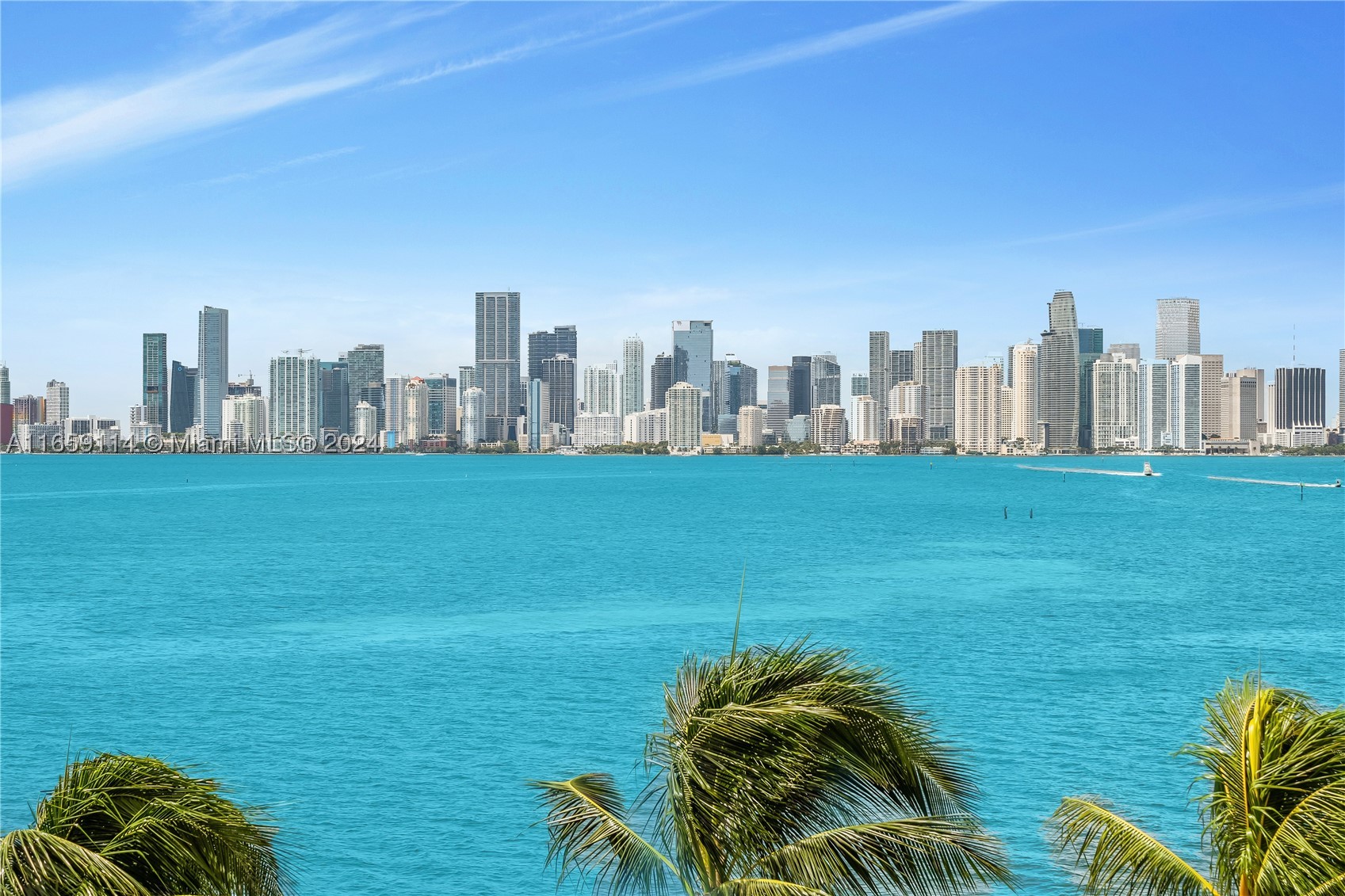 Miami Beach photo 2