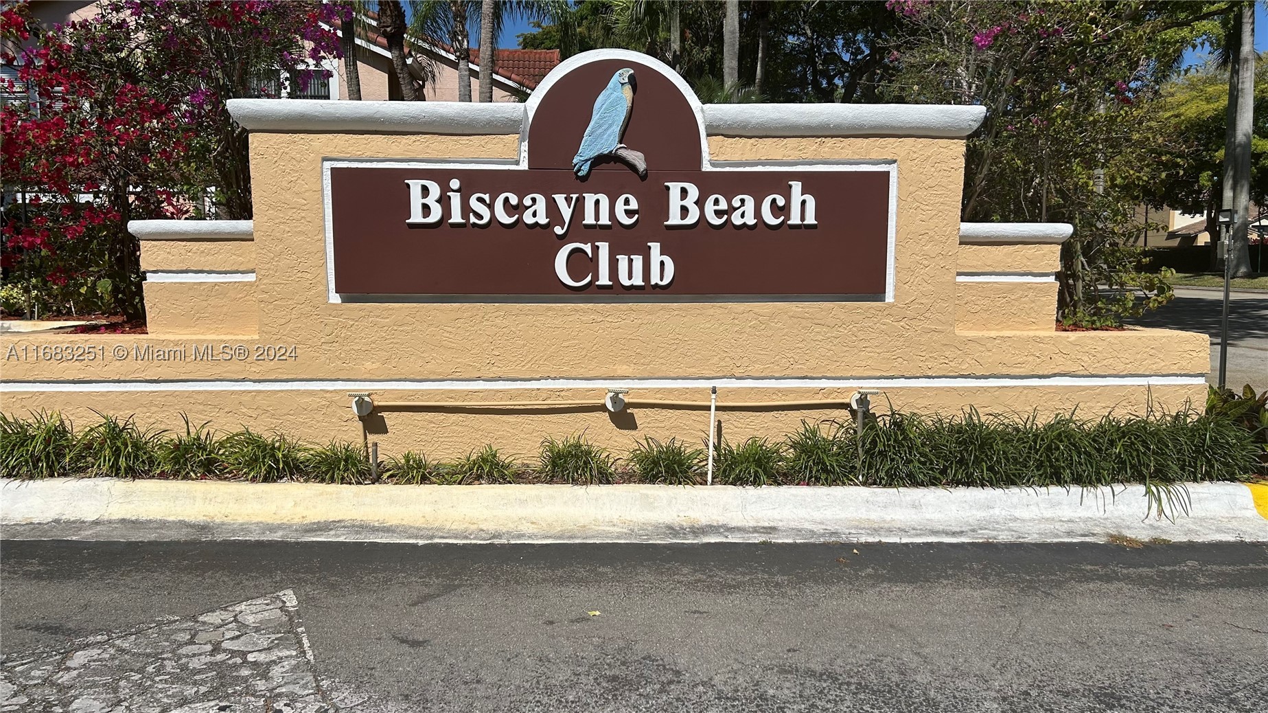 Miami photo 1