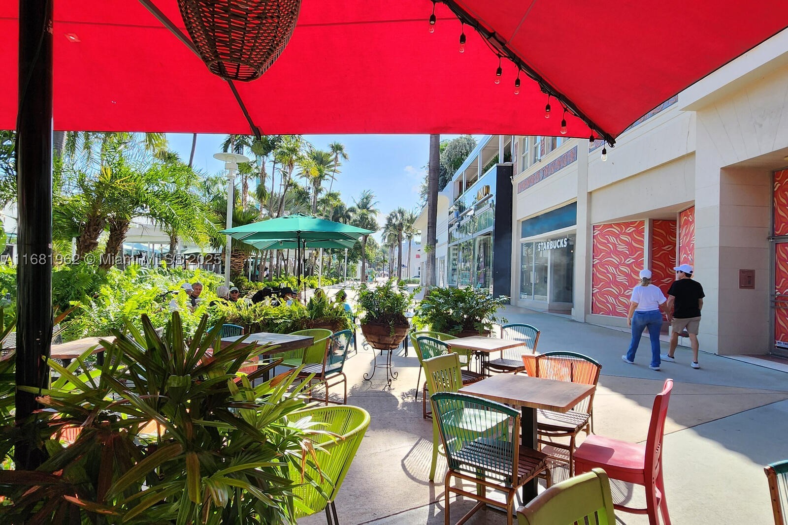 Miami Beach photo 4