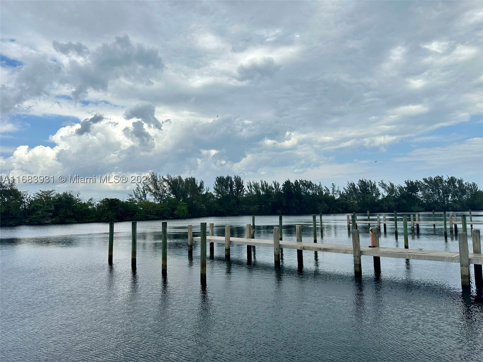 Miami photo 4
