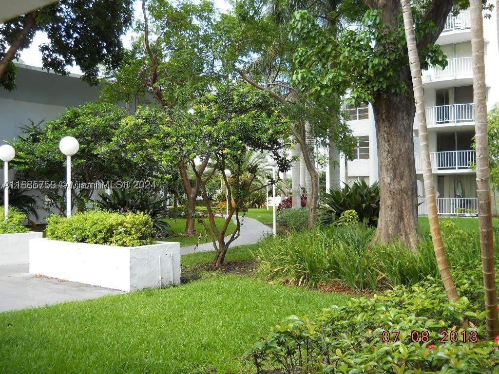 Miami photo 2