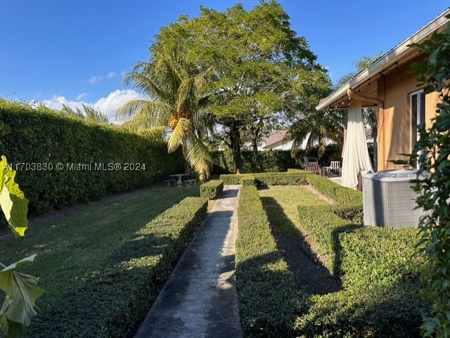 Miami photo 4