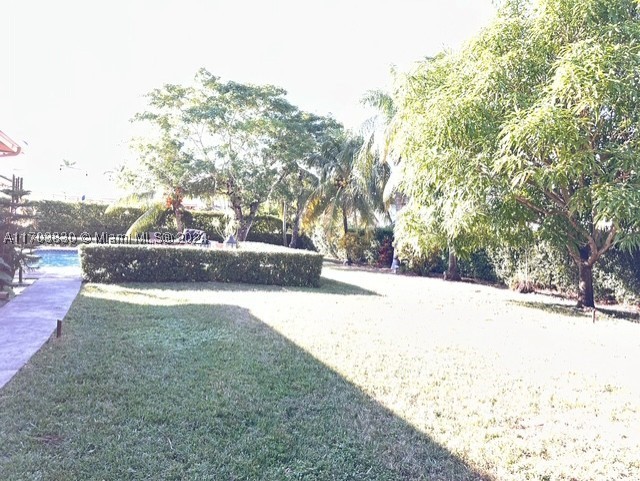 Miami photo 5