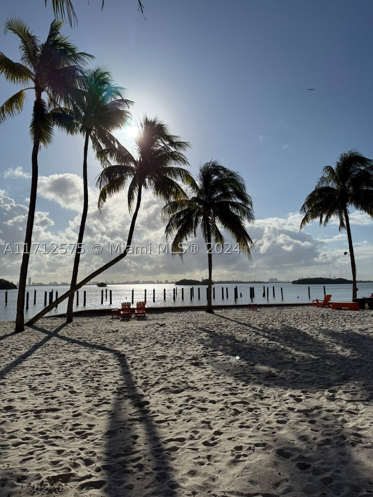 Miami photo 4