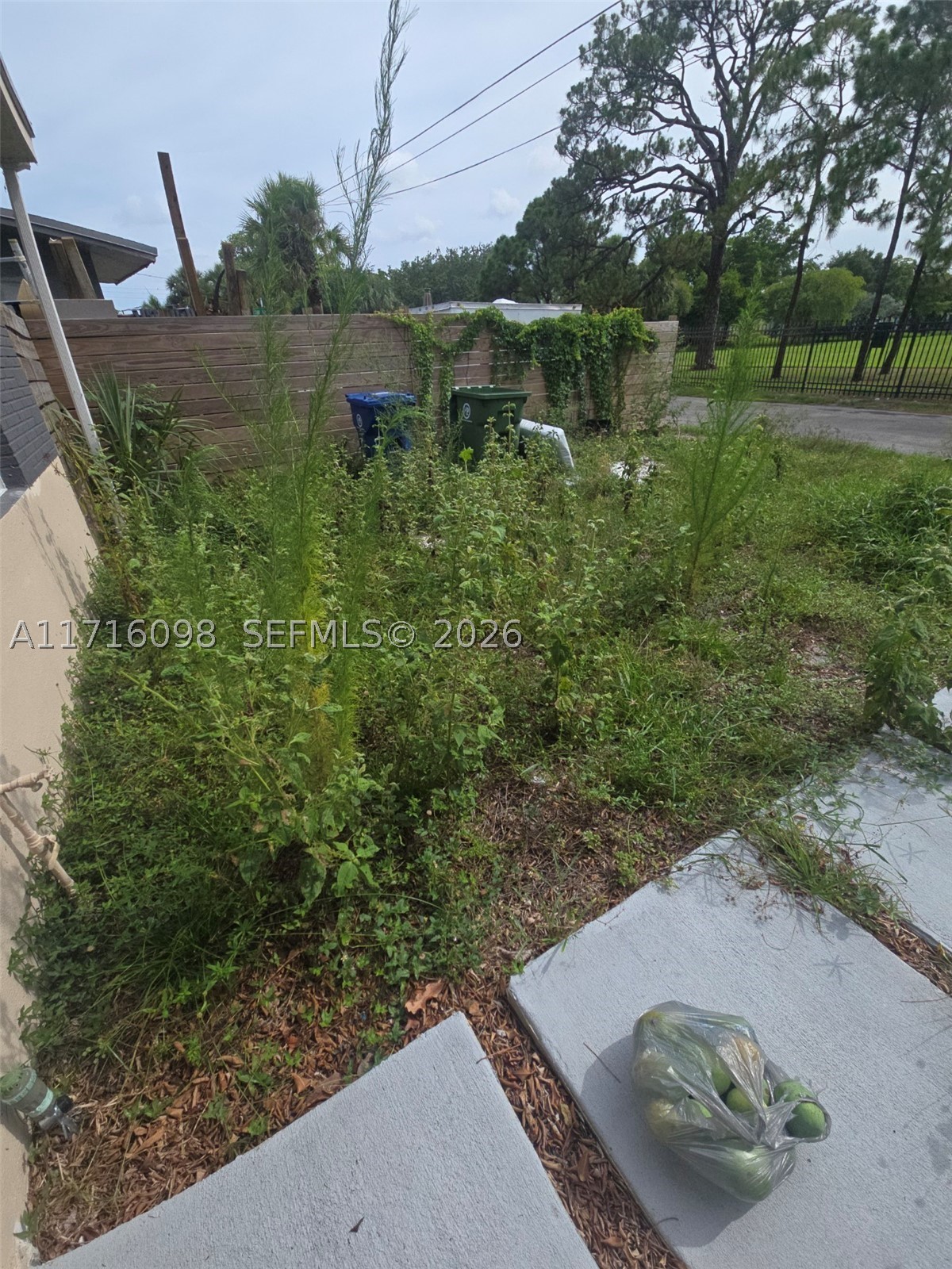 Fort Lauderdale photo 4