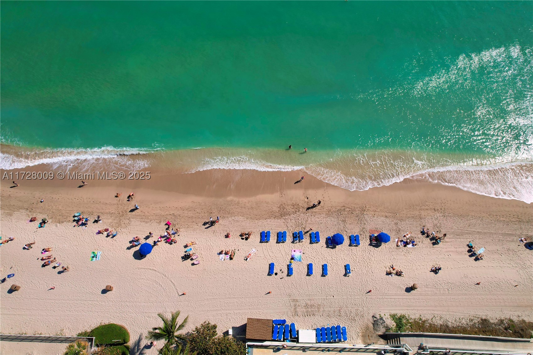 Sunny Isles Beach photo 4