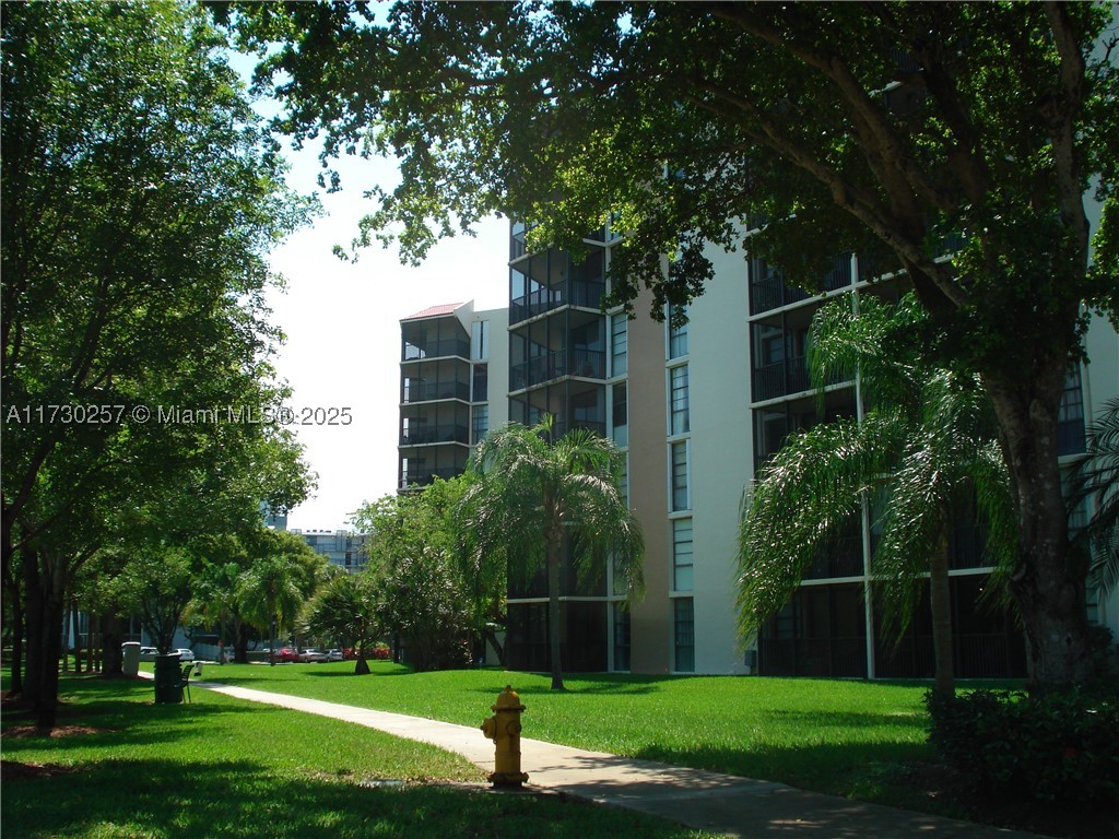 Aventura photo 2