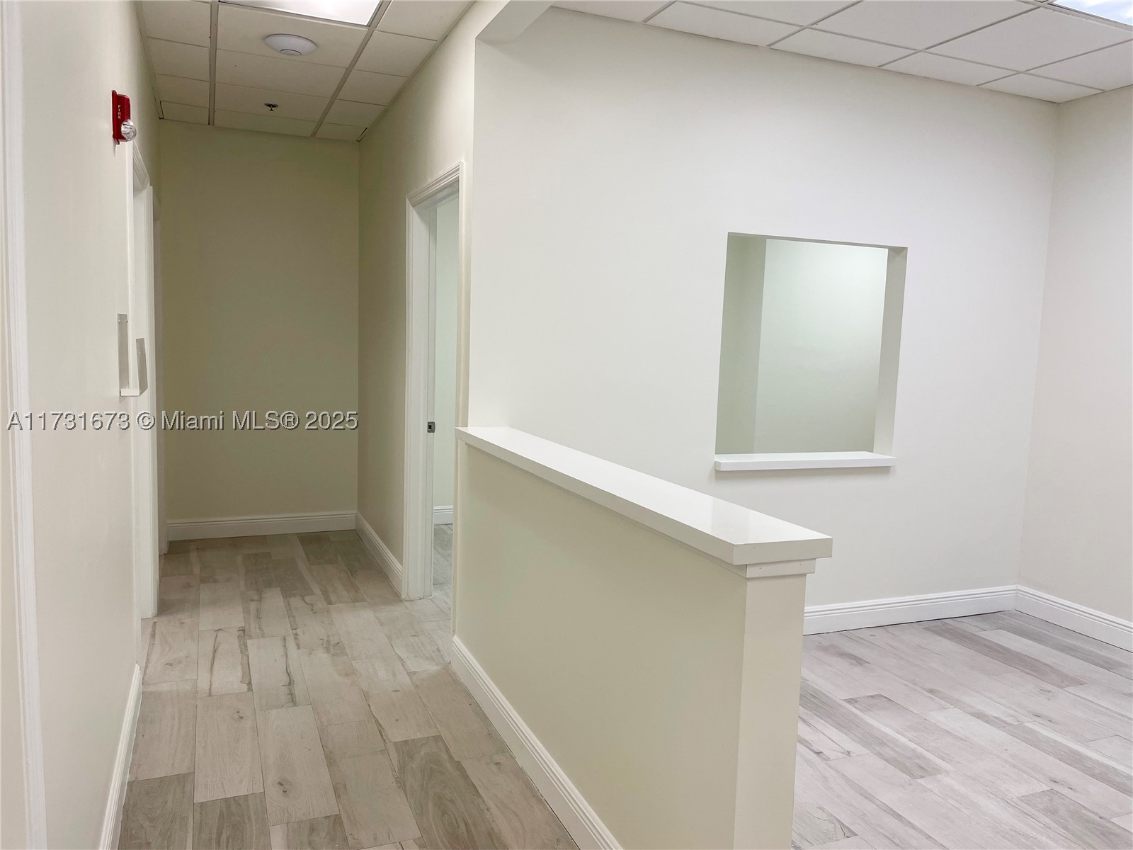 South Miami photo 5