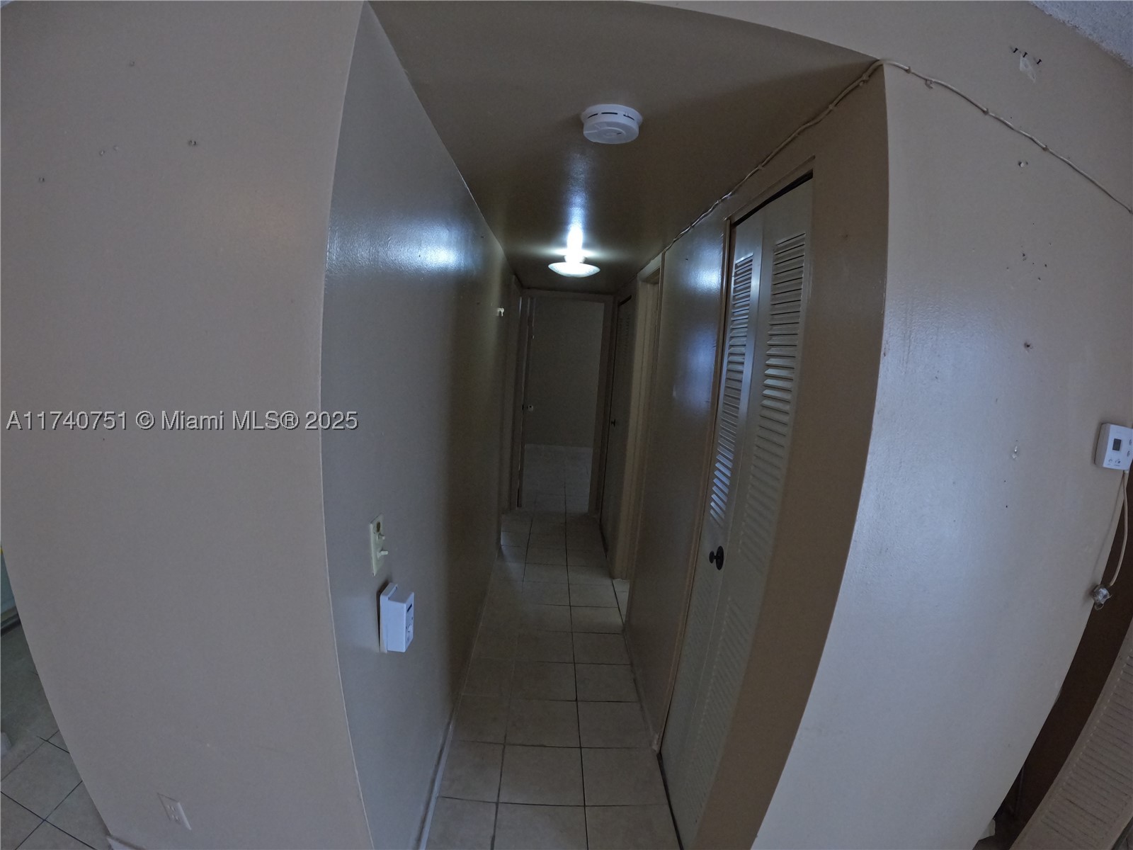 Miami photo 5