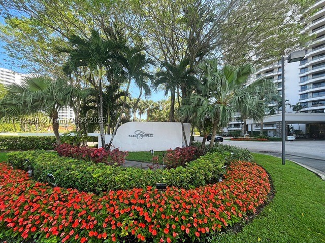 Aventura photo 4