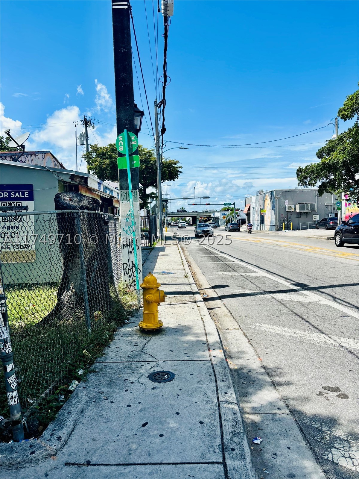 Miami photo 5