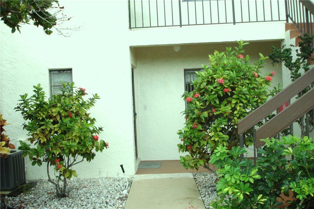 Hallandale Beach photo 3