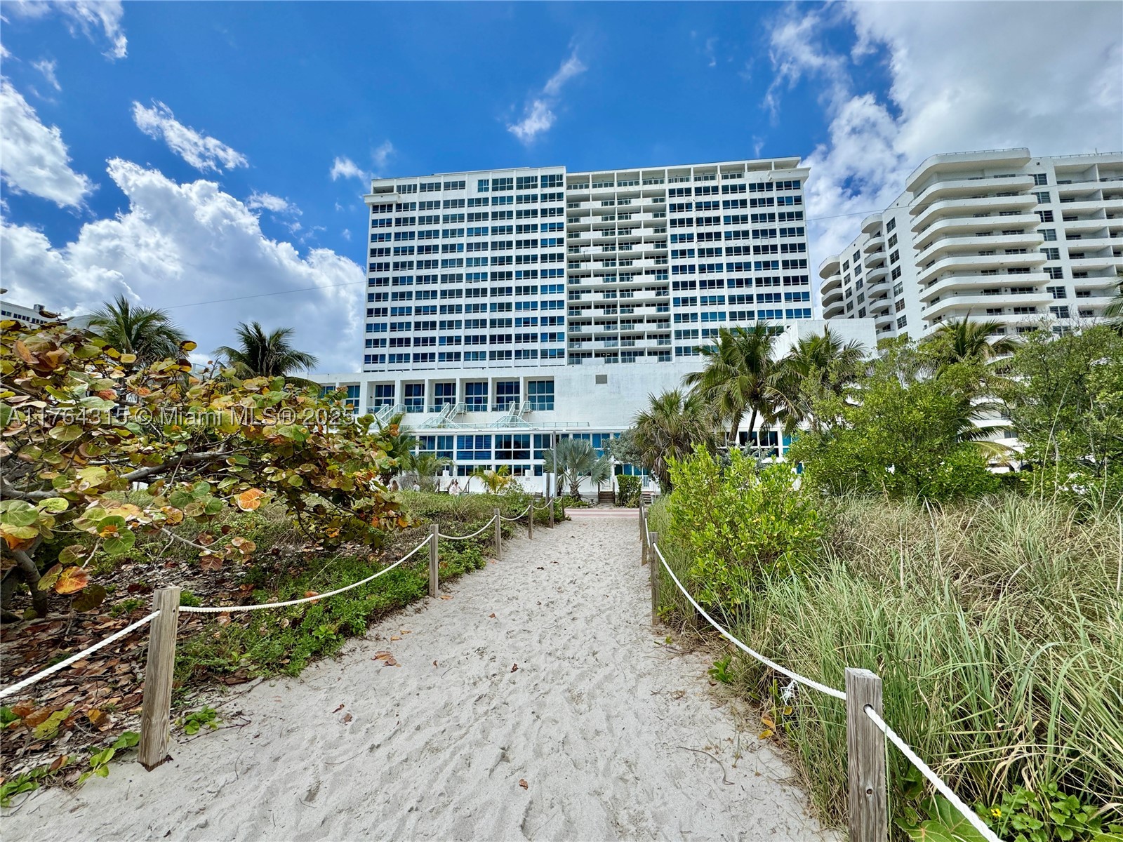 Miami Beach photo 3