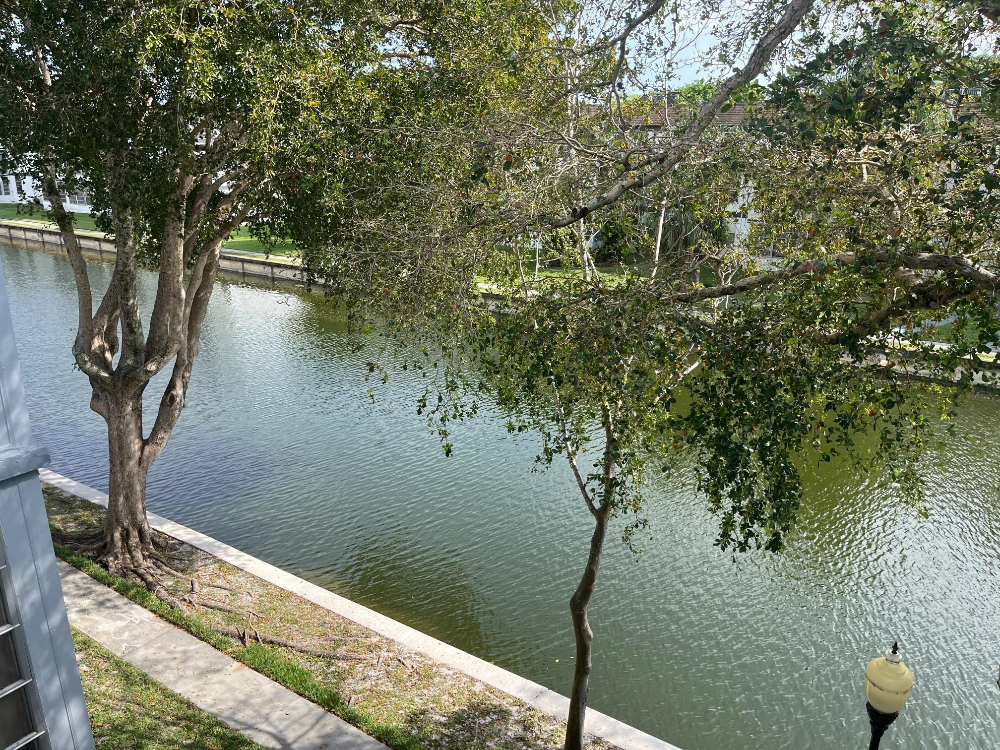 Fort Lauderdale photo 3