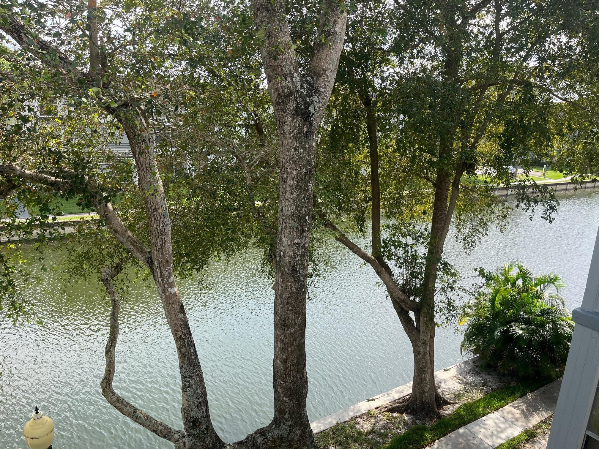 Fort Lauderdale photo 4