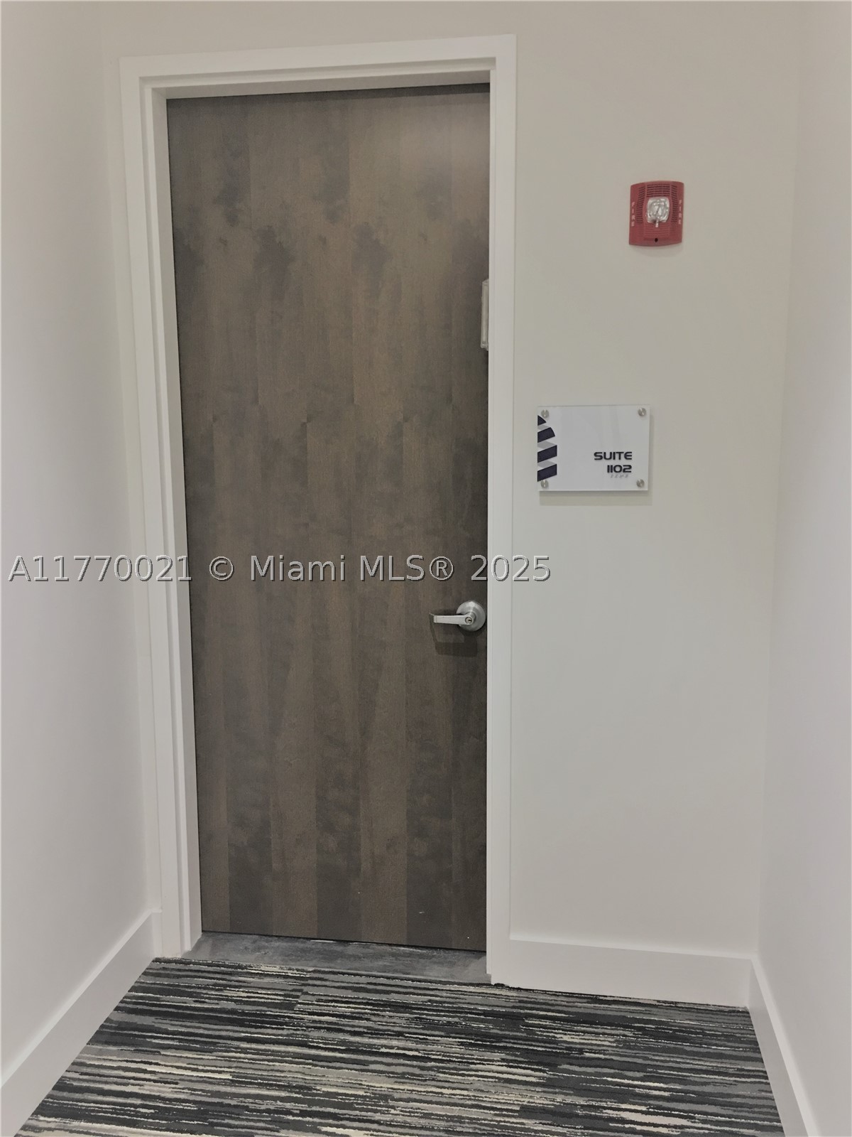 Miami photo 3