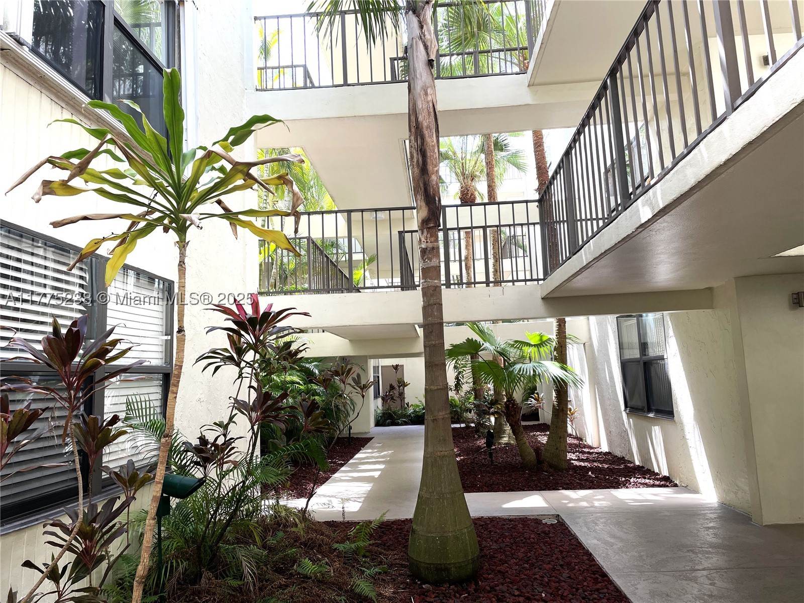 Aventura photo 2