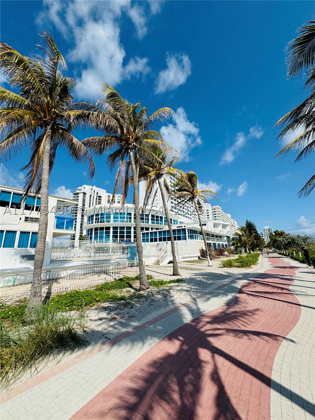 Miami Beach photo 3