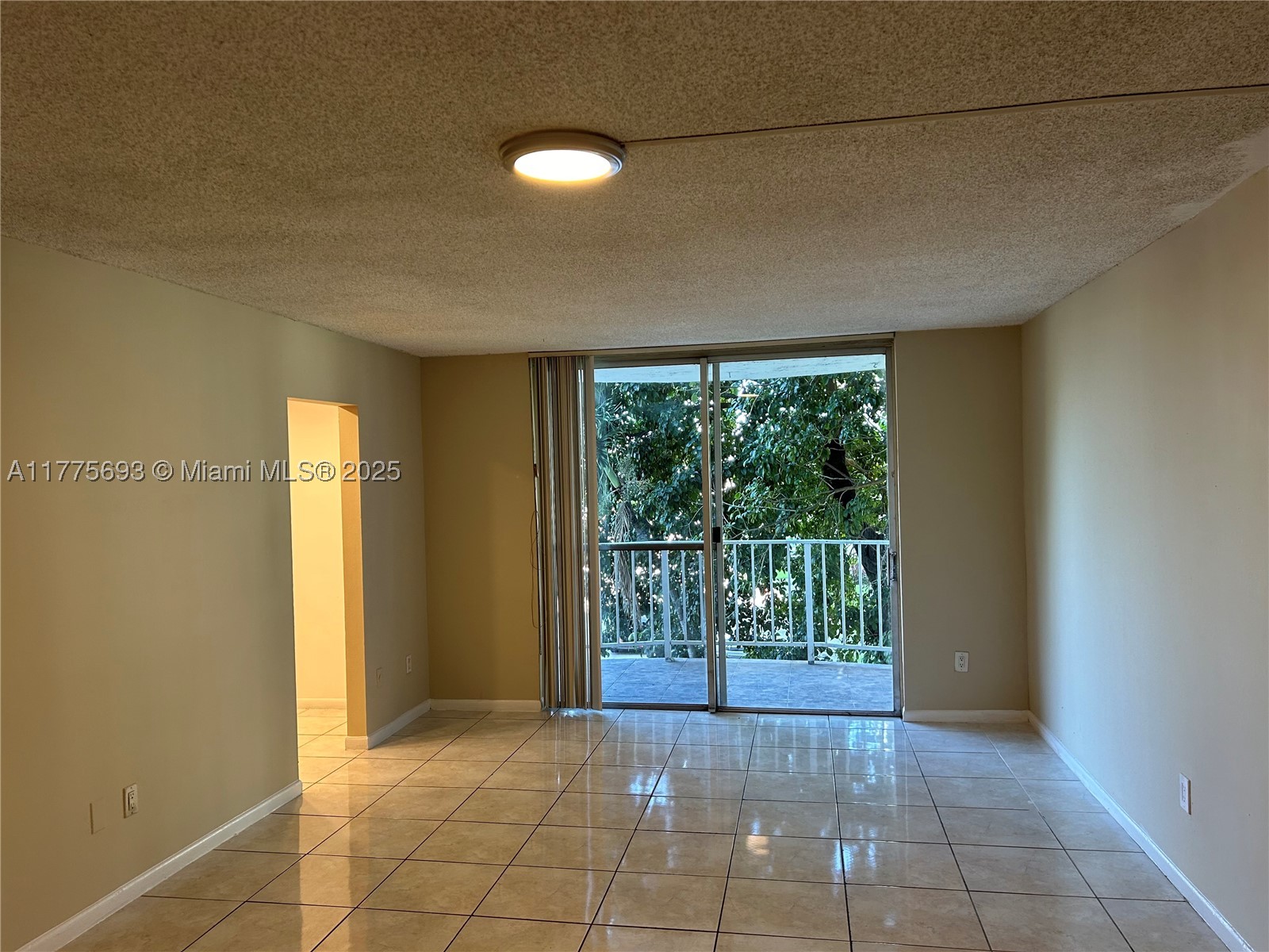 Miami photo 5