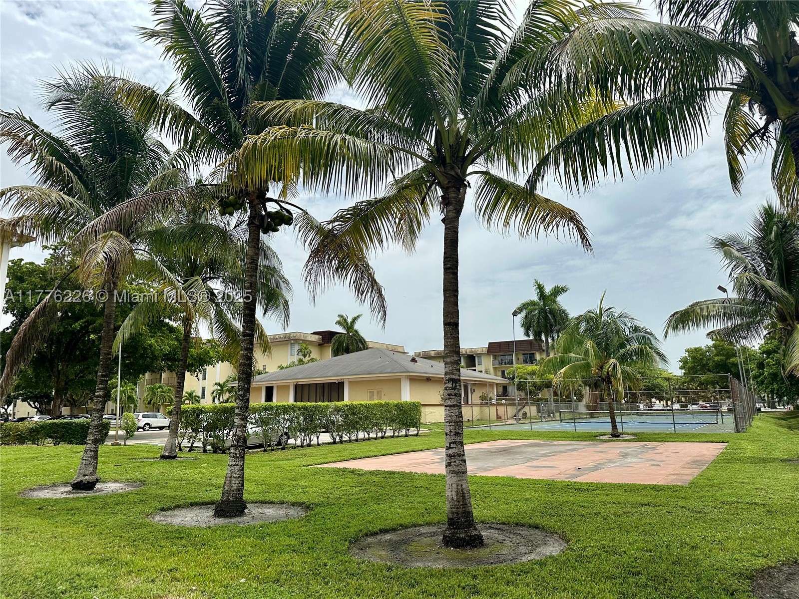 North Miami photo 3