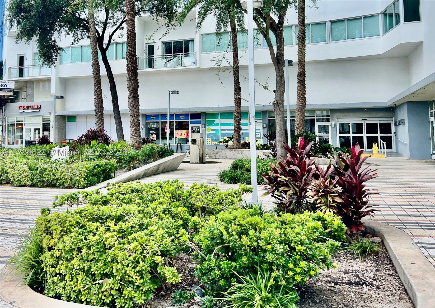 Miami Beach photo 4