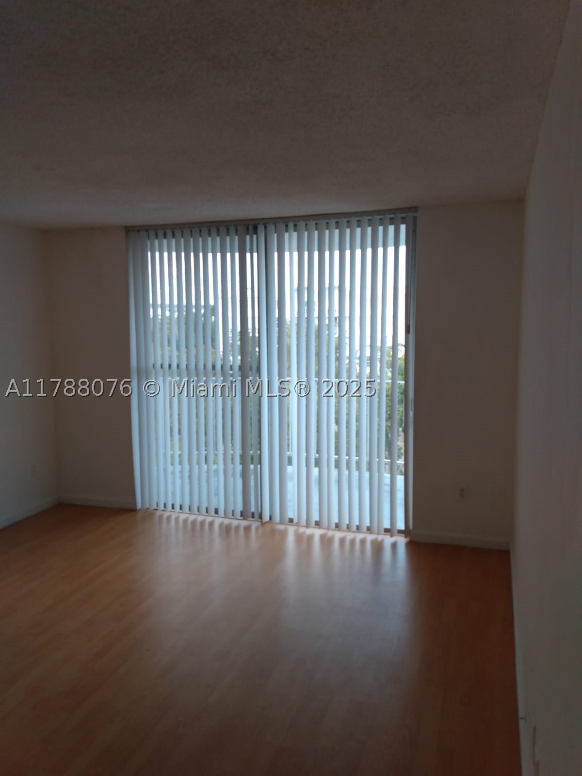 Miami photo 3