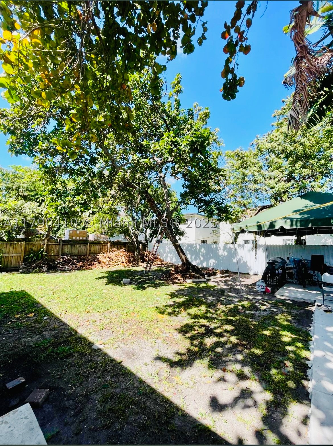 Miami photo 3