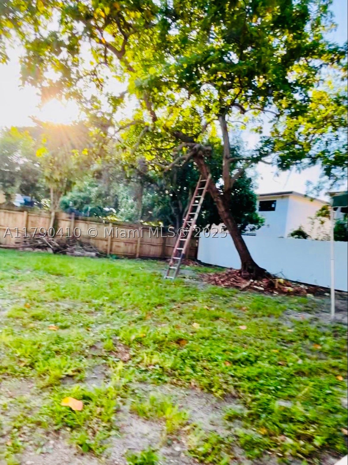 Miami photo 4
