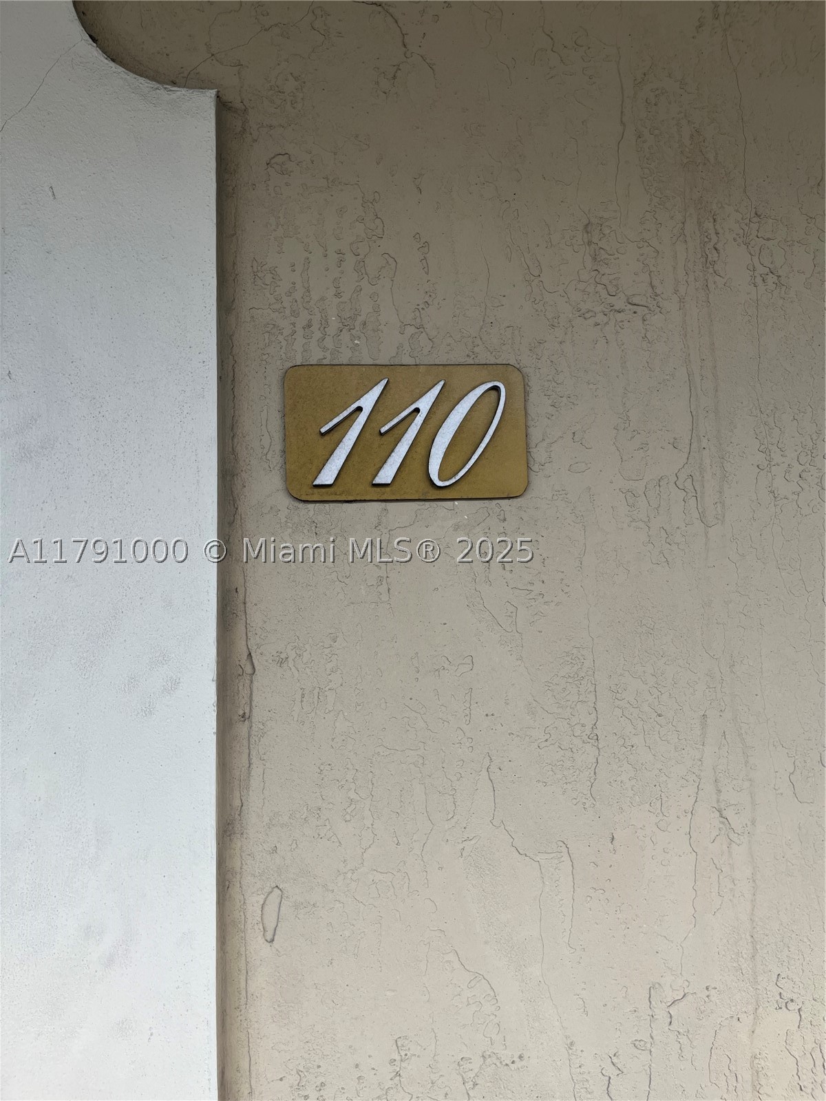 Miami photo 2