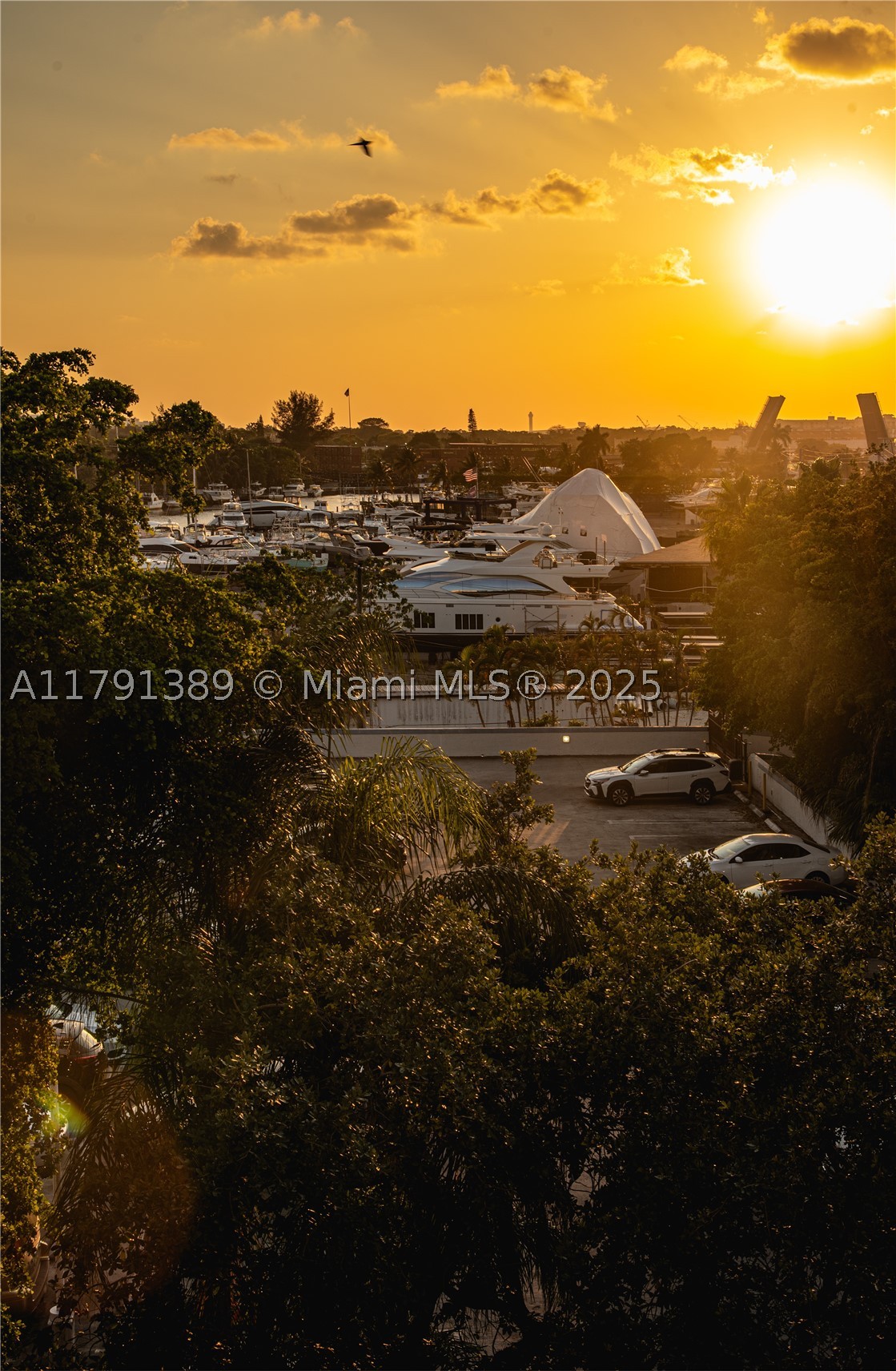 Miami photo 3