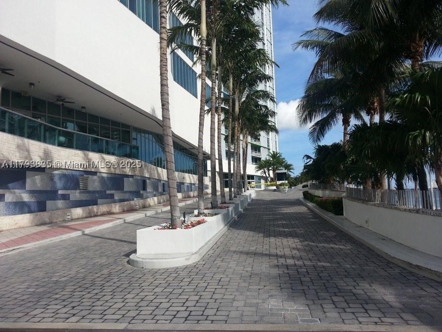 Miami photo 3